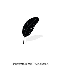 Feather icon or logo vector graphics