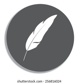 Feather Icon on a grey background