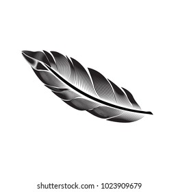 Feather icon on white back, vector design