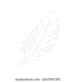 Feather icon on white background.