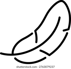 Feather icon in outline style. Graphic Vector icon of goose feather 