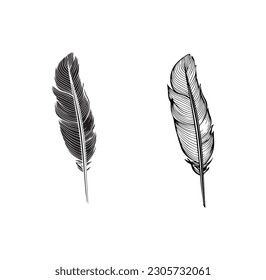 feather icon plume related icon isolated on background