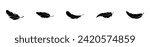 Feather icon set. Bird feather silhouette symbol. Plumelet collection isolated. Vector illustration.