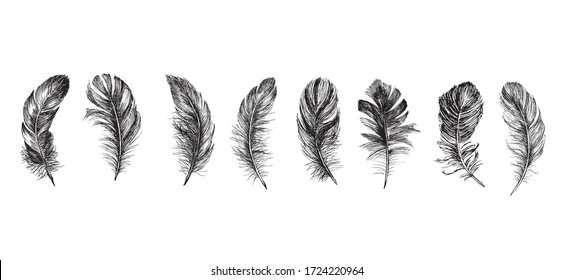 Feather icon set. Hand drawn illustration. Doodle sketch.