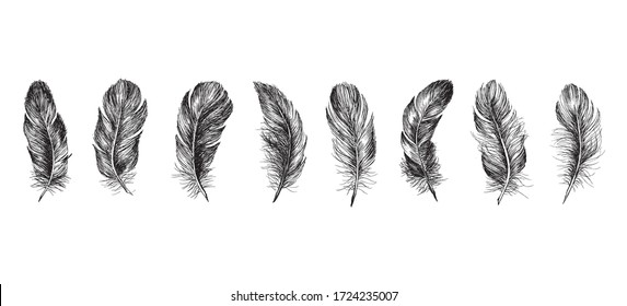 Feather Icon Set. Hand Drawn Illustration. Doodle Sketch.
