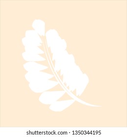 Feather Icon Set Vector. Feather Vector Illustration
