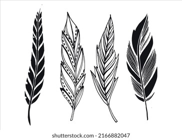 Feather icon set vector illustration