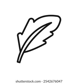 Feather icon Thin line art isolated