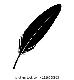 Feather icon vector