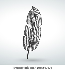 Feather icon vector design