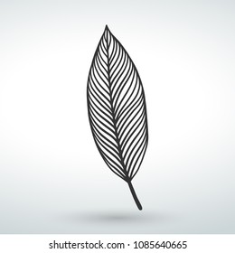 Feather icon vector design