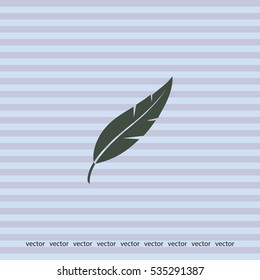Feather icon, vector design