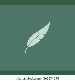 Feather icon, vector design