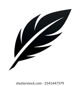 Feather icon vector design with a white background