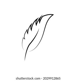 Feather icon vector. History illustration sign. Writer symbol. old pen logo.