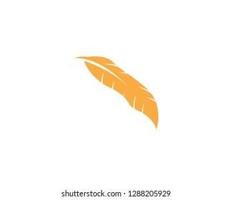 Feather icon vector illustration