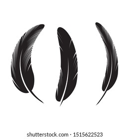 feather icon Vector Illustration design Logo template