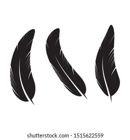 feather icon Vector Illustration design Logo template