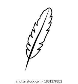 feather icon vector illustration design