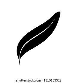 feather  icon vector  illustration isolated on white background 