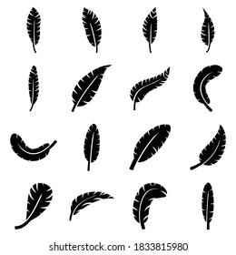 feather icon vector symbol illustration