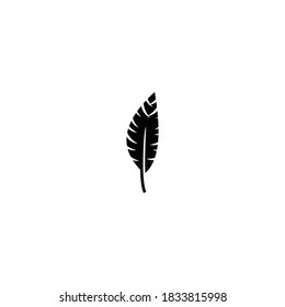 feather icon vector symbol illustration