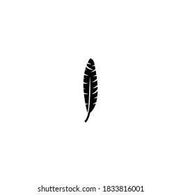 feather icon vector symbol illustration