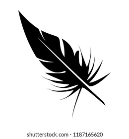 feather icon vector template