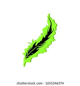 Feather icon vector in water color illustration style