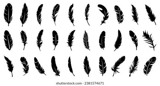 Iconos de plumas. Conjunto de iconos de plumas negras aislados. Siluetas de plumas.