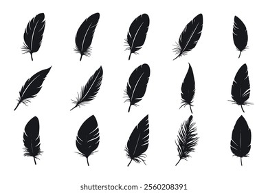 Feather icons. Set of black feather icons isolated. Feather silhouettes on white background