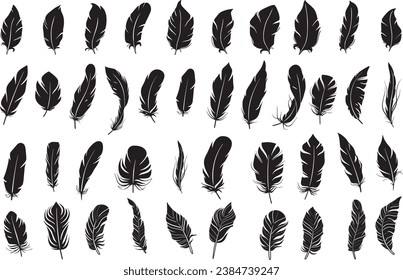 Feather icons. Set of different black feather icons isolated. Feather silhouettes.