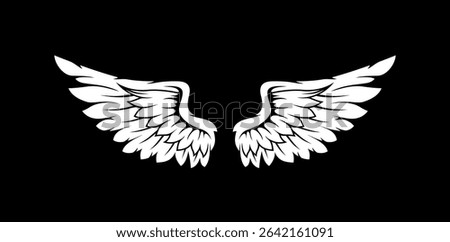 feather illustration, angel, wings, white, black background, symmetry, fantasy, graphic, elegant, flight, heavenly, soft, art, design, tattoo, ethereal, celestial, icon, symbol, drawing, pair wings