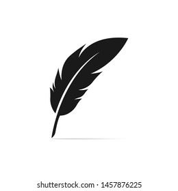 feather, illustration, isolated on white background - Vector