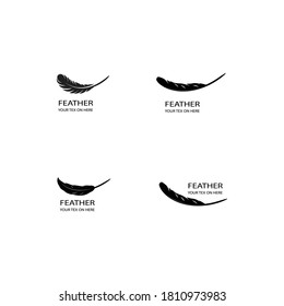 Feather illustration  logo vector template