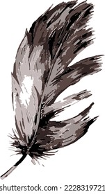 feather illustration vector image, good luck icon
