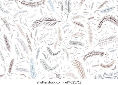 The feather illustrations background abstract, hand drawn. Cartoon style vector graphic.