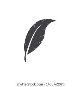 feather ilustration  logo vector template