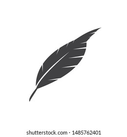 feather ilustration  logo vector template