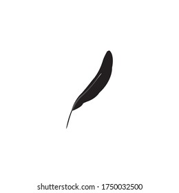 Feather ilustration  logo vector template