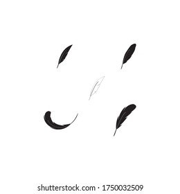 Feather ilustration  logo vector template