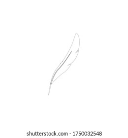 Feather ilustration  logo vector template