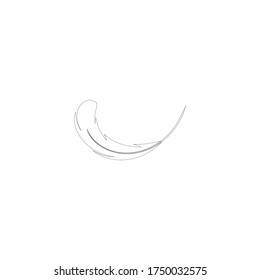 Plantilla vectorial de logotipo de ilustraciones de plumas