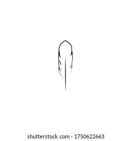 
Feather ilustration  logo vector template

