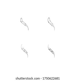 
Feather ilustration  logo vector template

