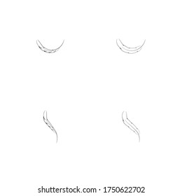 
Feather ilustration  logo vector template

