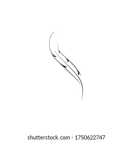
Feather ilustration  logo vector template

