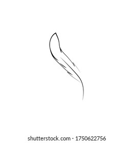 
Feather ilustration  logo vector template

