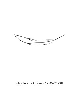 
Feather ilustration  logo vector template

