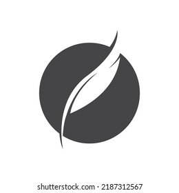 Feather ilustration logo vector template